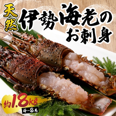 伊勢海老 お造りセットC 約1.8kg(お刺身用に加工済)(b100-073)