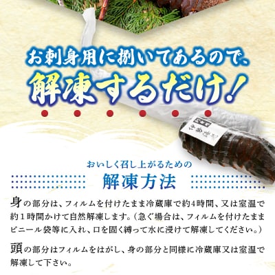 伊勢海老 お造りセットC 約1.8kg(お刺身用に加工済)(b100-073)