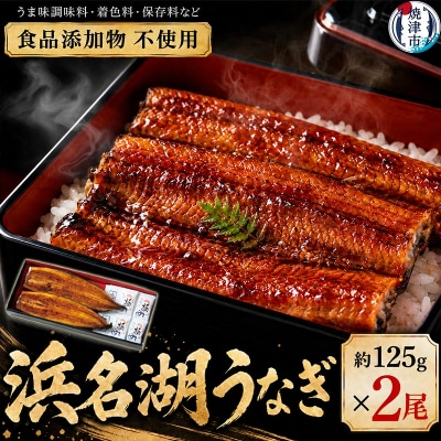 浜名湖うなぎ蒲焼2尾(a15-609)