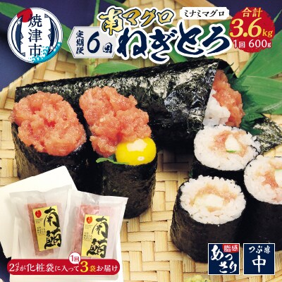 【定期便】南マグロねぎとろ600g＜6人前＞×6回(b100-074)