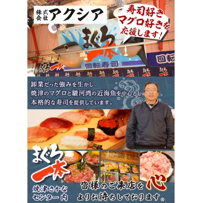 犬、猫兼用 ペットフード まぐろの極(a10-1050)