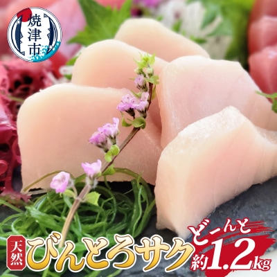 天然 びんとろ サク 柵 まぐろ マグロ 鮪 約1.2kg業務用(a10-1048)