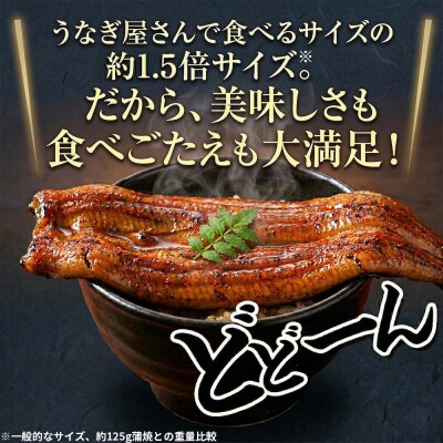 浜名湖うなぎ蒲焼&白焼 紅白SET(a20-422)