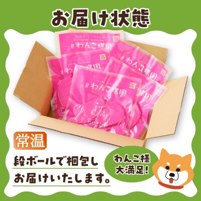 わんこ様用5点セット(a11-220)
