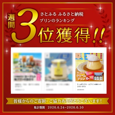 たっぷり!クリームプリン6個セット(a12-203)