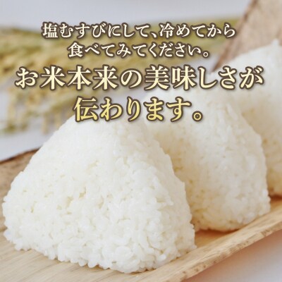 ミルキークイーン あきの掬び 2kg×3袋(a26-022)