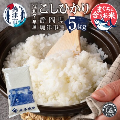 令和7年産　マグロによく合うお米 コシヒカリ 白米5kg(a11-211)