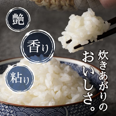 令和7年産 マグロによく合うお米 コシヒカリ 白米10kg(5kg×2袋)(a22-075)