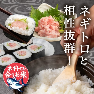 令和7年産 ネギトロと相性抜群のお米 きぬむすめ 白米5kg(a11-214)