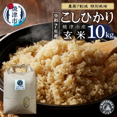 令和7年産 特別栽培 コシヒカリ 玄米 10kg(5kg×2袋)(a25-077)