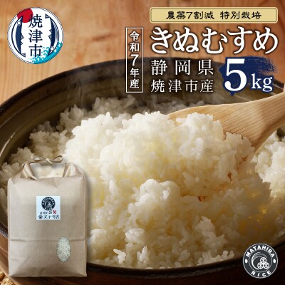 令和7年産 農薬7割減 特別栽培 きぬむすめ 白米5kg(a13-161)