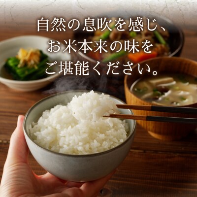 令和7年産 農薬7割減 特別栽培 にこまる 白米10kg(5kg×2袋)(a25-083)