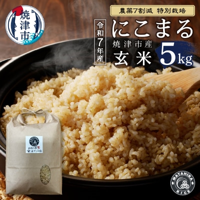 令和7年産 農薬7割減 特別栽培 にこまる 玄米 5kg(a13-164)
