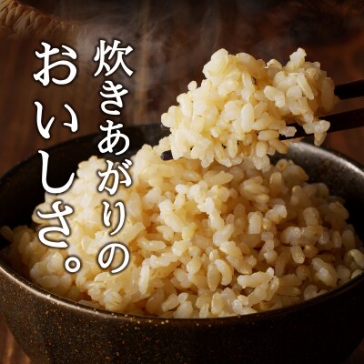 令和7年産 農薬7割減 特別栽培 にこまる 玄米 10kg(5kg×2袋)(a25-084)