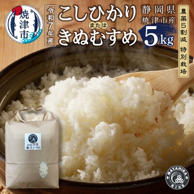 令和7年産 農薬5割減 特別栽培 コシヒカリ または きぬむすめ 白米5kg(a12-314)