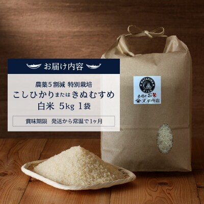 令和7年産 農薬5割減 特別栽培 コシヒカリ または きぬむすめ 白米5kg(a12-314)