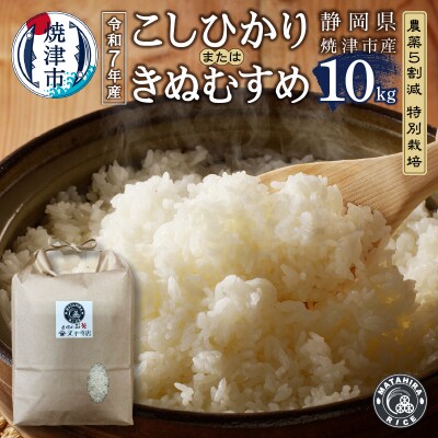 令和7年産　特別栽培コシヒカリまたはきぬむすめ 白米10kg(5kg×2袋)(a24-074)