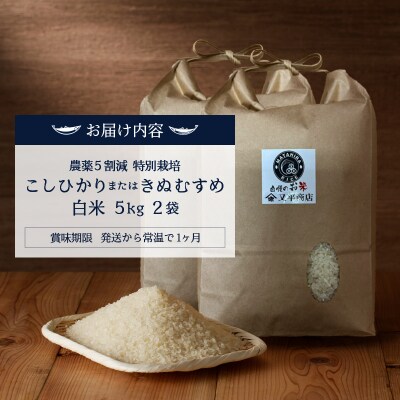令和7年産　特別栽培コシヒカリまたはきぬむすめ 白米10kg(5kg×2袋)(a24-074)
