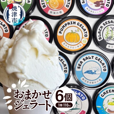 こだわり素材のジェラート110mlおまかせ6個セット(a10-1130)