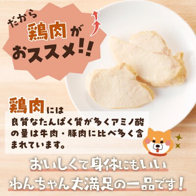 わんこ様用8点セット(a18-116)