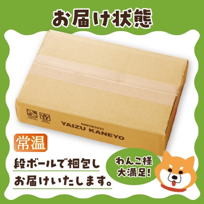わんこ様用15点セット(a35-020)