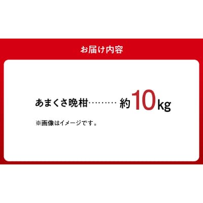 あまくさ晩柑 約10kg【先行受付】_S149-002