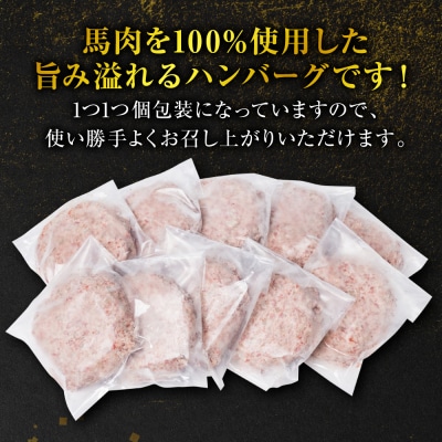 【定期便6回】馬肉ハンバーグ 150g×10個_289-6742