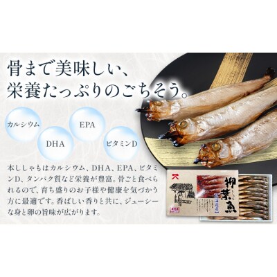 北海道産 ししゃも オス M30尾 有限会社阿部水産《14日以内に出荷予定》