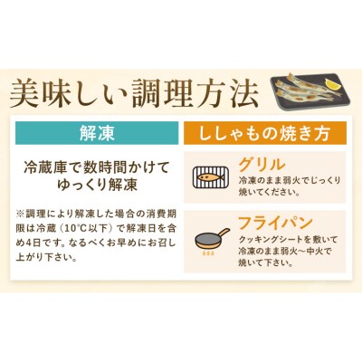 北海道産 ししゃも オス M30尾 有限会社阿部水産《14日以内に出荷予定》