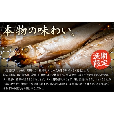 北海道産 ししゃも メス M30尾 有限会社阿部水産《14日以内に出荷予定》