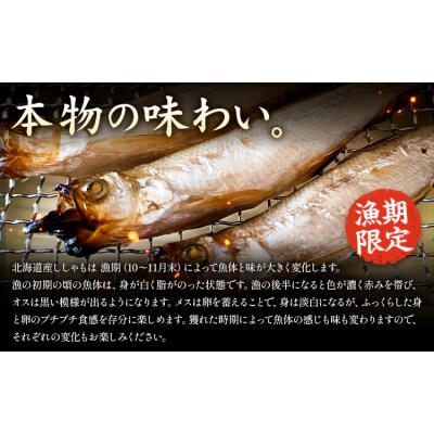 北海道産 ししゃも M30尾セット(オス20尾メス10尾) 有限会社阿部水産《14日以内に出荷予定》