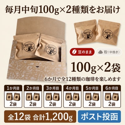 【6か月定期便・ポスト投函】自家焙煎コーヒー豆 100g×2袋 全12種[No5354-0229]