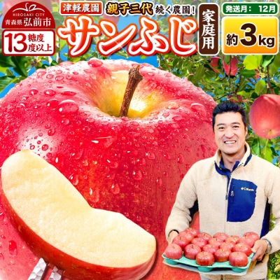 【26年12月発送】りんご サンふじ【家庭用】約3kg 津軽農園|24_tgn-010301