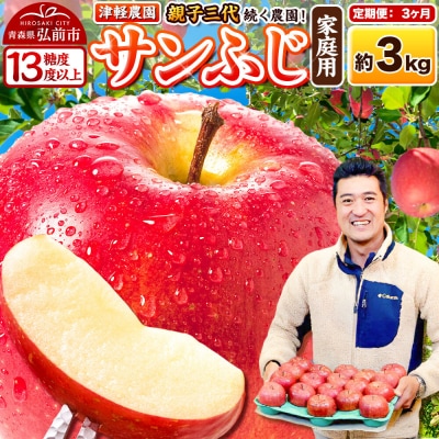 【27年1月～発送】《定期便3ヶ月》りんご  サンふじ【家庭用】約3kg|24_tgn-010303