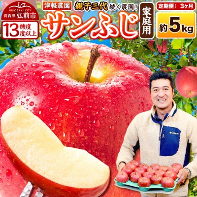 【27年1月～発送】《定期便3ヶ月》りんご  サンふじ【家庭用】約5kg|24_tgn-010503
