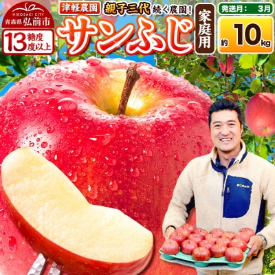 【27年3月クール便発送】りんご サンふじ【家庭用】約10kg|24_tgn-011001c