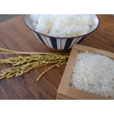 【令和4年産米】環境こだわり認証米　元気の気『コシヒカリ』白米5kg