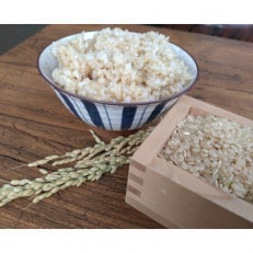 【令和4年産米】環境こだわり認証米　元気の気『コシヒカリ』玄米5kg