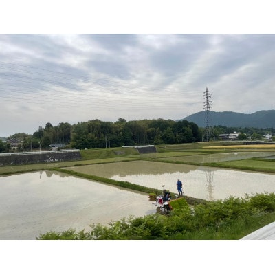 【令和4年産米】有機栽培米 地球の気『滋賀旭』白米3kg