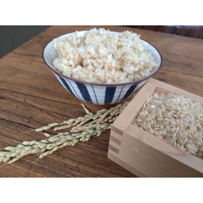 【令和4年産米】有機栽培米　地球の気『滋賀旭』玄米3kg