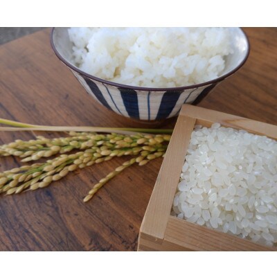 【令和4年産米】有機栽培米 地球の気『滋賀羽二重糯』白米3kg