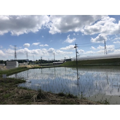 【令和4年産米】有機栽培米 地球の気『滋賀羽二重糯』白米3kg