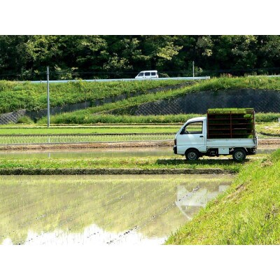 【令和4年産米】有機栽培米 地球の気『滋賀羽二重糯』白米3kg