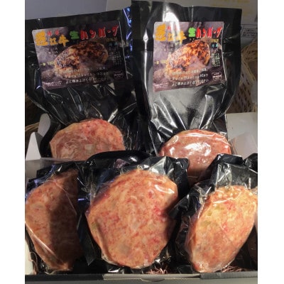 近江牛生ハンバーグ　650g(130g×5個) ソース付き