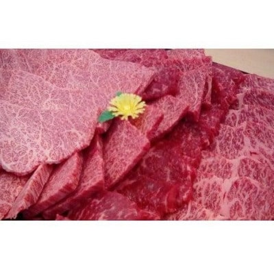 近江牛 焼き肉(赤身・カルビ部位)0.5kg