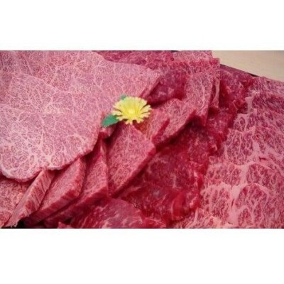 【3ヵ月毎定期便】近江牛 焼き肉(赤身・カルビ部位)0.5kg全4回