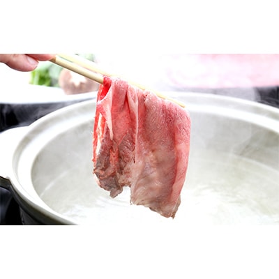 【2ヵ月毎定期便】純近江牛食べ比べプレミアム定期便全6回