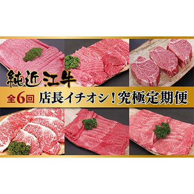 【2ヵ月毎定期便】店長イチオシ!純近江牛究極定期便全6回