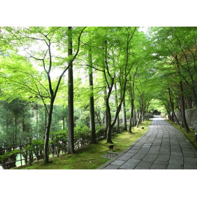 京都しょうざん カップインオードブル(滋賀県草津市で製造)
