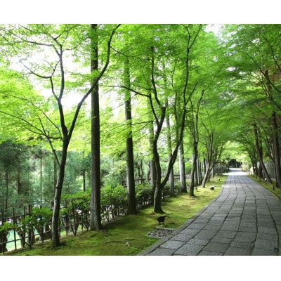 京都しょうざん おせち料理「春華」一段(滋賀県草津市で製造)